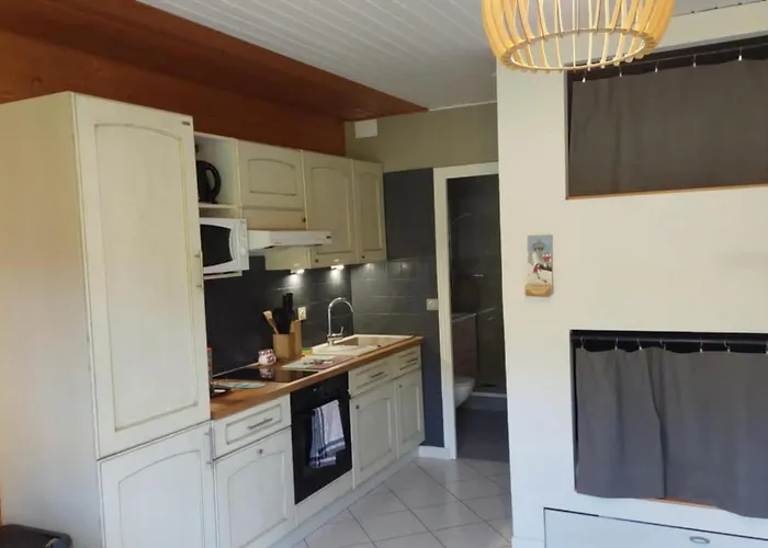 Joli T2, Escale Les Airelles, Rez De Jardin Proche 아파트 제라르메르